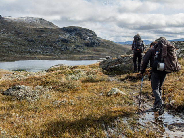 The Top Places Every Nature Lover Should Visit for Unforgettable Experiences